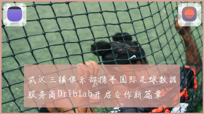 武汉三镇俱乐部携手国际足球数据服务商Driblab开启合作新篇章