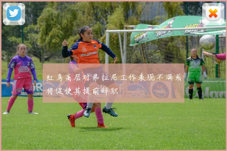 红鸟高层对弗拉尼工作表现不满或将促使其提前辞职